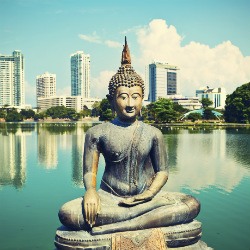 Sri Lanka Buddha-Statue